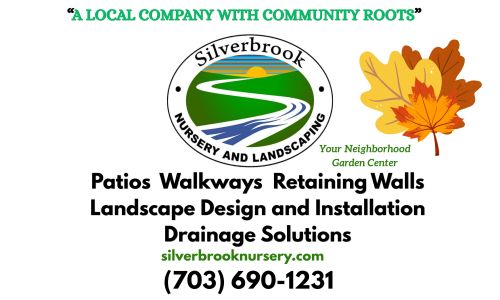 Silverbrook Nursery
